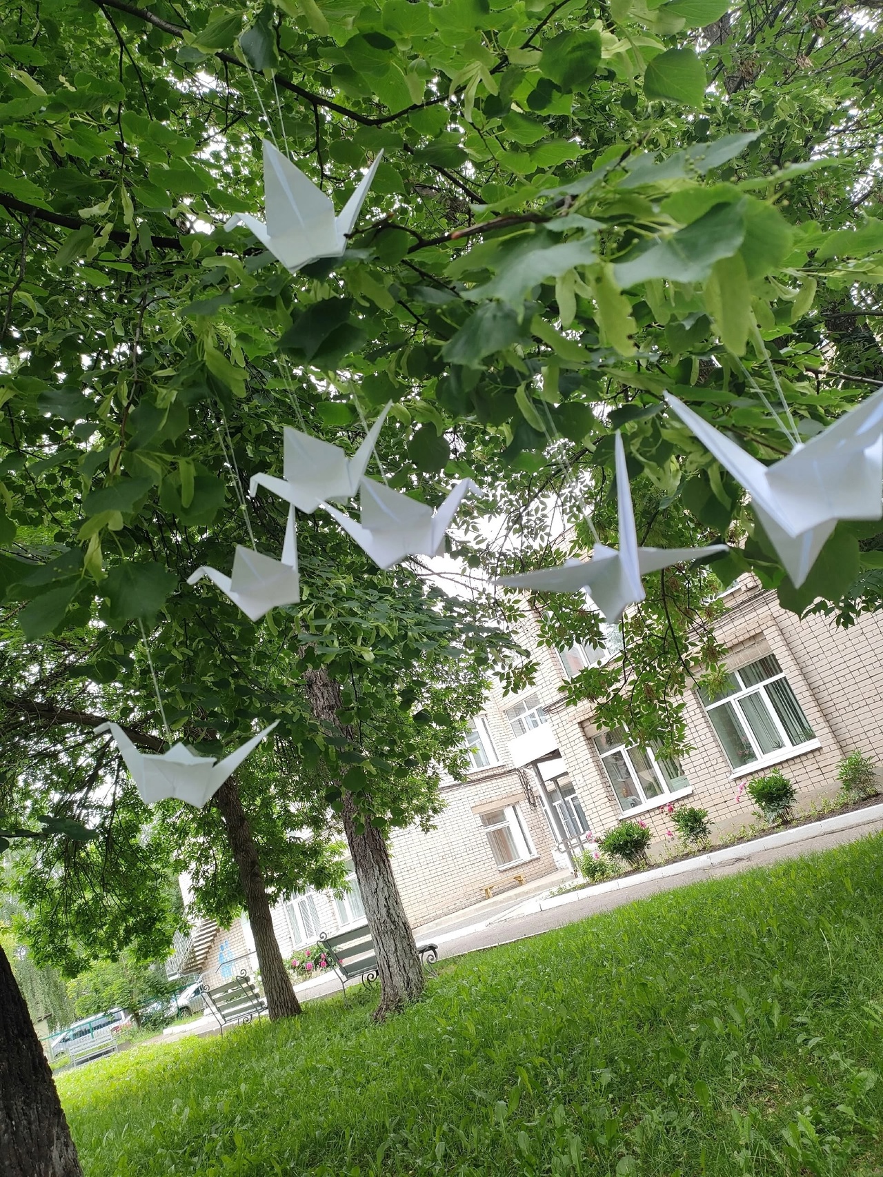 ЧТИМ ПАМЯТЬ ПАВШИХ В ГОДЫ ВЕЛИКОЙ ОТЕЧЕСТВЕННОЙ ВОЙНЫ