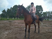 Серебро на соревнованиях "На стиль езды" завоевала наша воспитанница